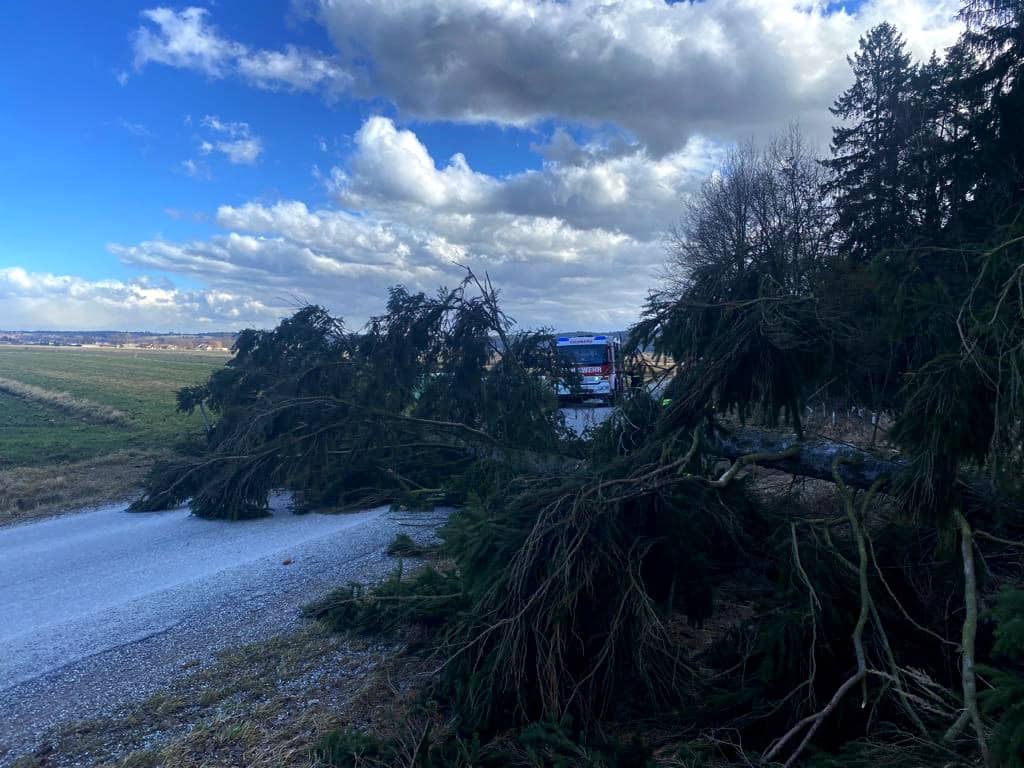 BFKDO Gmünd: Unwettereinsätze im Bezirk durch Sturmtief