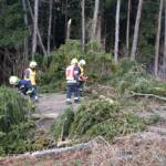 Unwettereinsätze im Bezirk durch Sturmtief