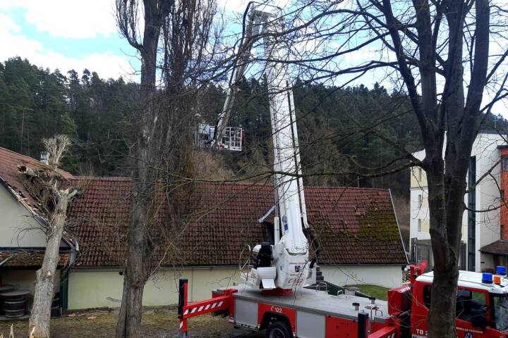 BFK Waidhofen/Thaya: Etliche Schäden durch Sturmtief Ylenia