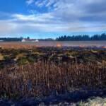 Flurbrand beim Freizeitzentrum