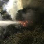 Brandentwicklung am Grünmüllplatz