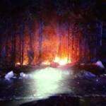 Heckenbrand Parkbad Döbriach