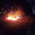 Heckenbrand Parkbad Döbriach