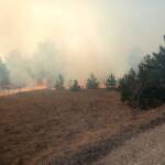 FF Haschendorf: Wald- und Flurbrand Großmittel/Haschendorf