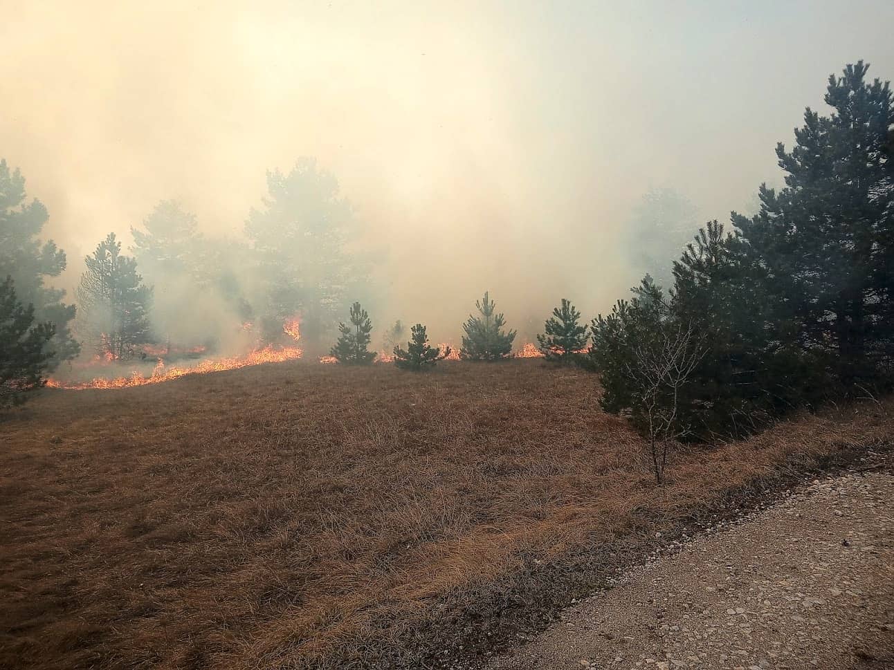 FF Haschendorf: Wald- und Flurbrand Großmittel/Haschendorf