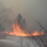 Wald- und Flurbrand Großmittel/Haschendorf
