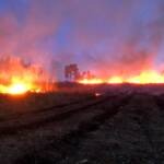 Höchste Alarmstufe bei Waldbrand in Modsiedl