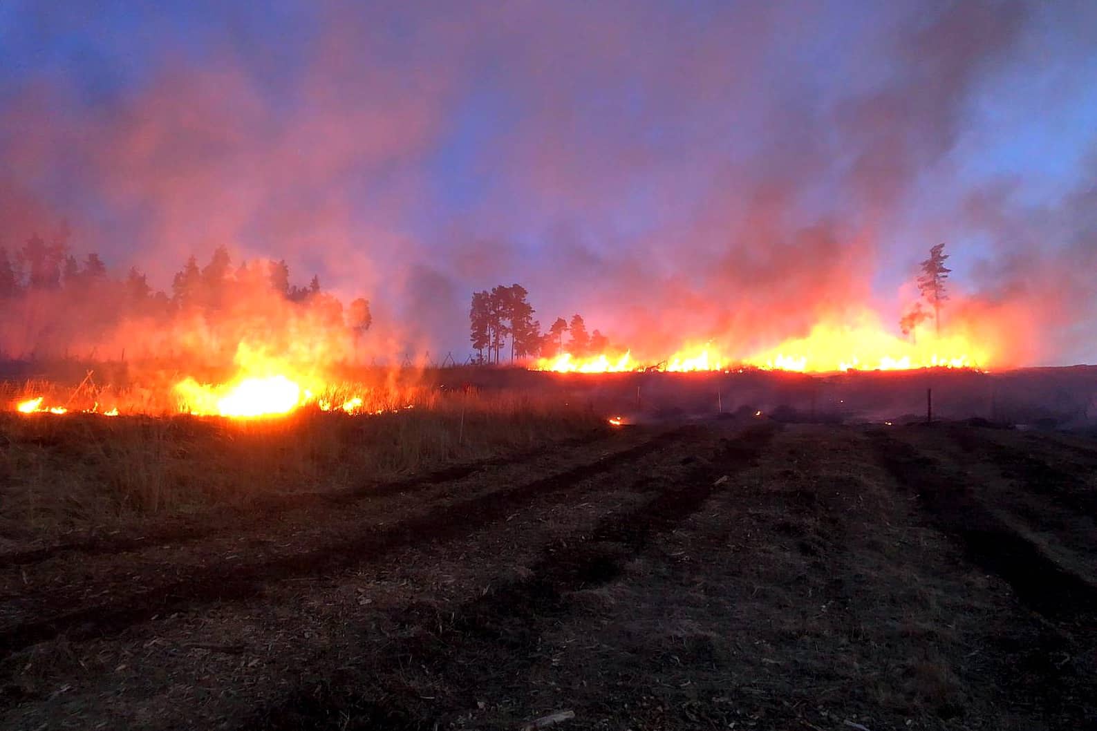 BFK Waidhofen/Thaya: Höchste Alarmstufe bei Waldbrand