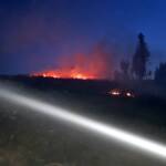 Großeinsatz bei Waldbrand in Modsiedl