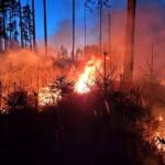 Großeinsatz bei Waldbrand in Modsiedl
