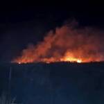 Großeinsatz bei Waldbrand in Modsiedl