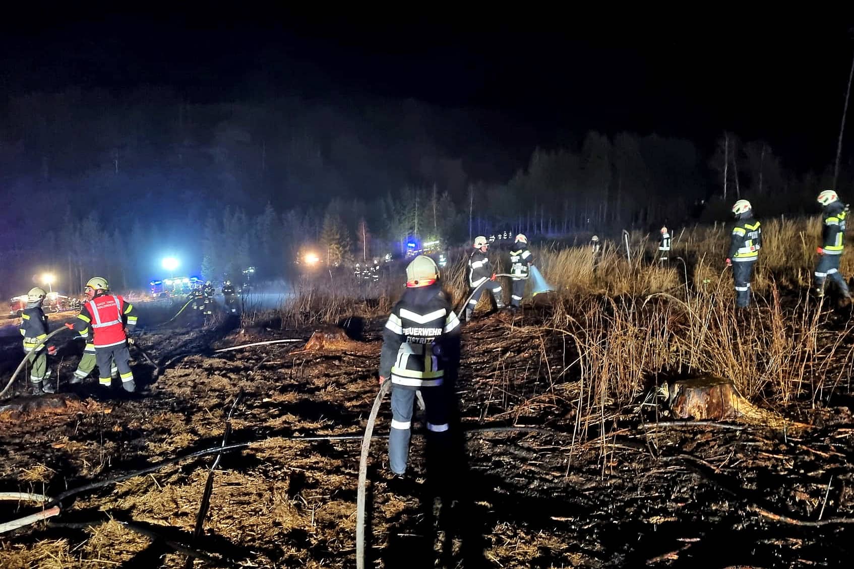 BFK Waidhofen/Thaya: Großeinsatz bei Waldbrand – UPDATE
