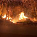 Flurbrand am Treppelweg