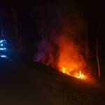 BFV Feldbach: Waldbrand am Reichersdorfberg