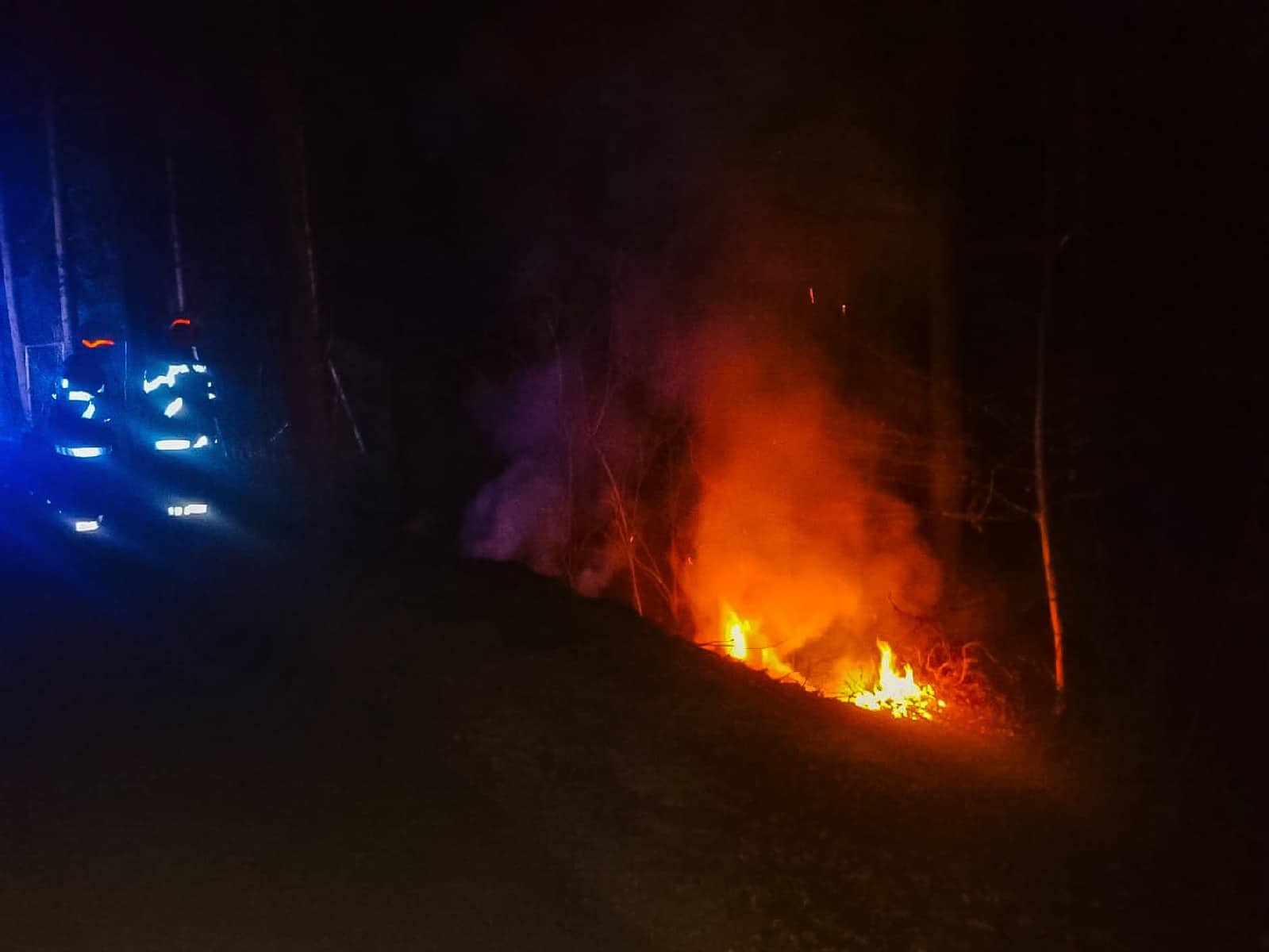 BFV Feldbach: Waldbrand am Reichersdorfberg