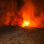 Waldbrand am Reichersdorfberg