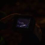 Waldbrand am Reichersdorfberg