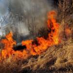 Wald- bzw. Wiesenbrand in Weiz