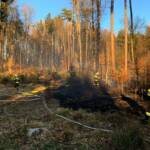 Wald- bzw. Wiesenbrand in Weiz