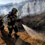 BFV Weiz: Wald- bzw. Wiesenbrand in Weiz