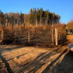Wald- bzw. Wiesenbrand in Weiz
