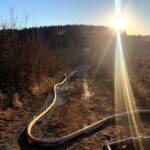 Wald- bzw. Wiesenbrand in Weiz