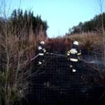 Wald- bzw. Wiesenbrand in Weiz