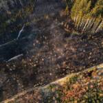 Wald- bzw. Wiesenbrand in Weiz