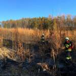 Wald- bzw. Wiesenbrand in Weiz