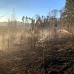 Wald- bzw. Wiesenbrand in Weiz