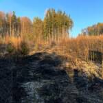 Wald- bzw. Wiesenbrand in Weiz