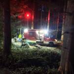 Wald- bzw. Wiesenbrand in Weiz