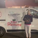 Kaninchen auf Erkundung