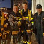 HFW Villach: Kaninchen auf Erkundung