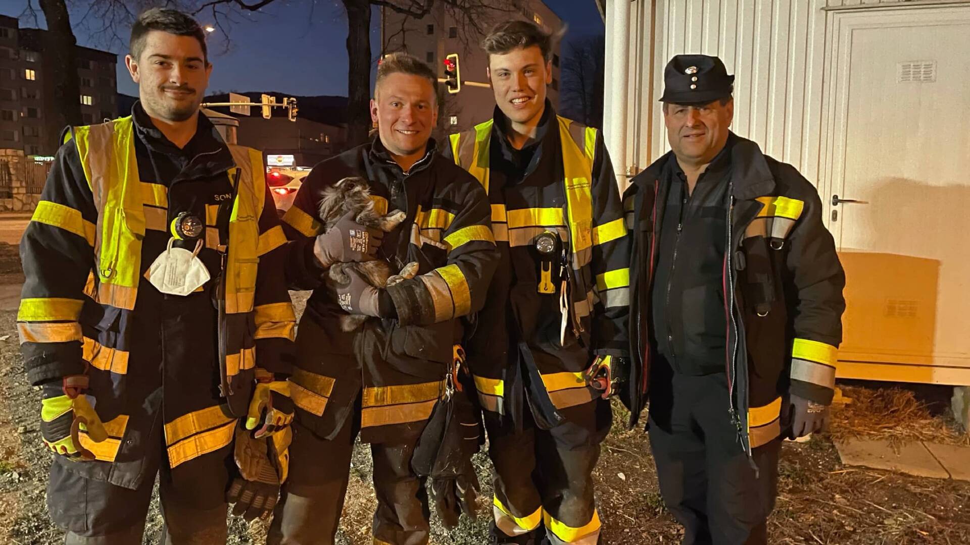 HFW Villach: Kaninchen auf Erkundung