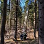 Absturz eines Paragleiters in Trofaiach