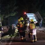 Aufwendige Pferderettung nach Verkehrsunfall