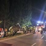 Aufwendige Pferderettung nach Verkehrsunfall