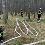 1.Feuerwehrfachliche Ausbildung „Wald und Flurbrandbekämpfung“ im Bezirk Wr. Neustadt