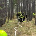1.Feuerwehrfachliche Ausbildung „Wald und Flurbrandbekämpfung“ im Bezirk Wr. Neustadt