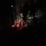 Brand eines Holzlagerplatzes