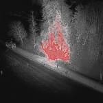 Brand eines Holzlagerplatzes