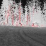 Brand eines Holzlagerplatzes