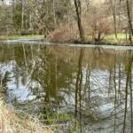 Im Wasser war das Löschpulver deutlich sichtbar