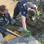 Heizöl im Traunfluss