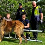 Tierbergung am Drauufer