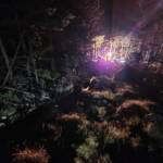 Waldbrand in Neusiedl im Bereich „Katzbach“