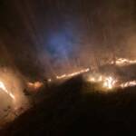 Waldbrand in Neusiedl im Bereich „Katzbach“
