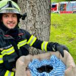 Großbrand verhindert und 5 Katzenbabys gerettet