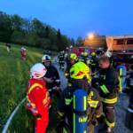 Großbrand verhindert und 5 Katzenbabys gerettet